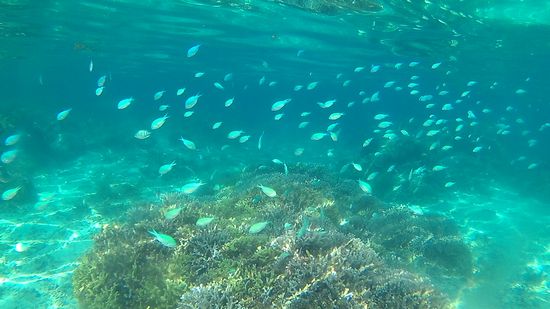 癒される風景です