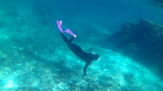 素潜りも楽しんでいらっしゃいます