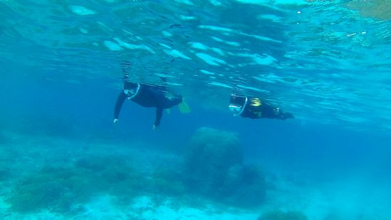 すぐにコースを回っていきます。