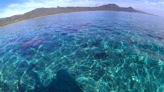石垣島は今日も絶好調です。