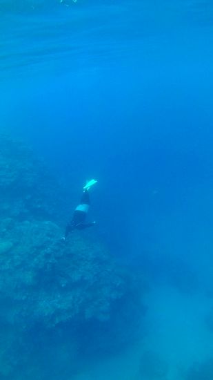 ドボンドボン、素潜りです