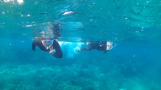 エントリー後、絶好調のお二人です