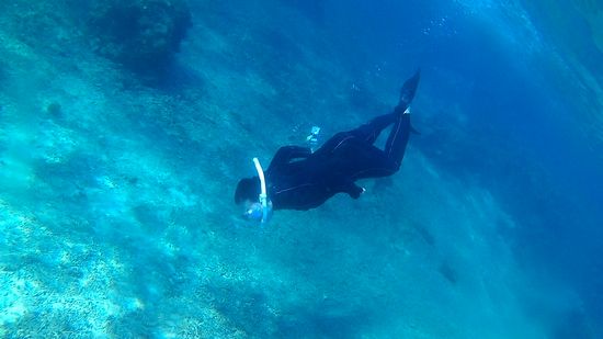 素潜りを始める奥さん