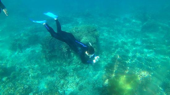 旦那さんも潜っています。