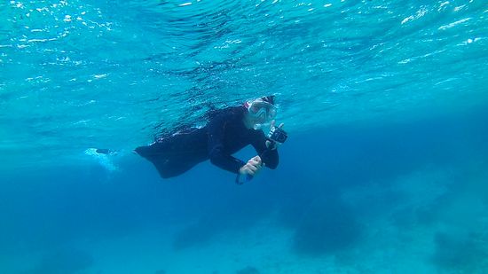 リピーターS田さんです