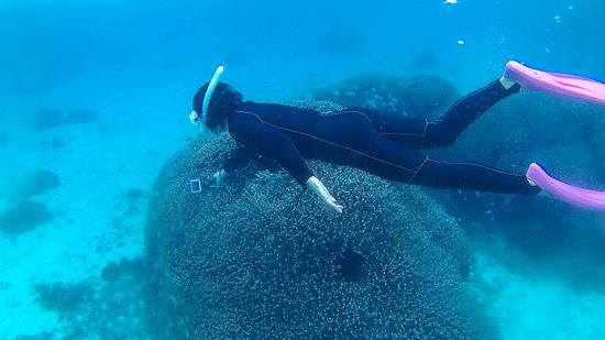 素潜りドボンです