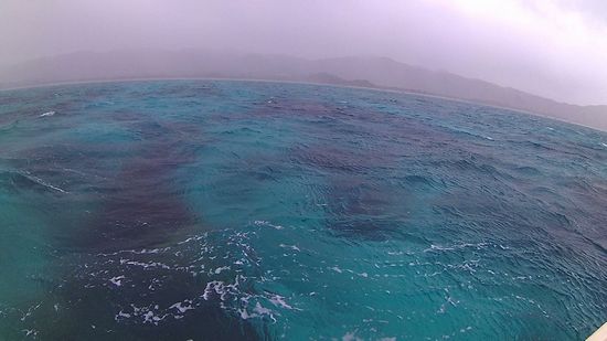 ちょっとてごわいコンディションの石垣島です