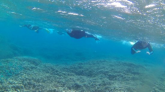 さぁコース回っていきます