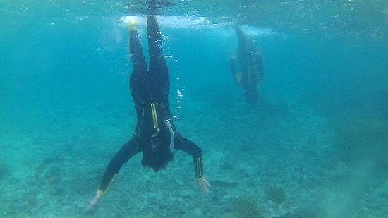 素潜りドボンを楽しむO澤さんとM野さん