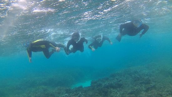 荒波の中、シュノーケリング