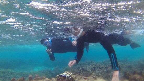 こちらも大丈夫！海を泳ぎ始めていきます。