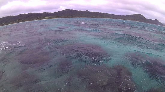 リピーターH松さんとT田さんです