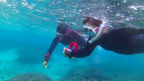 撮って撮って撮りまくっています