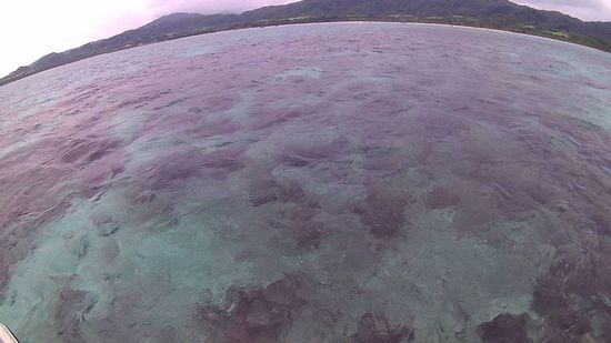 曇っていますが、波は穏やかに