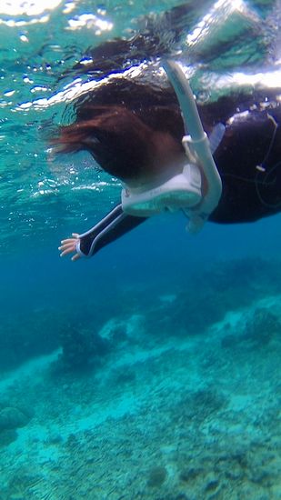 あら、ヒナちゃんマスクデビュー