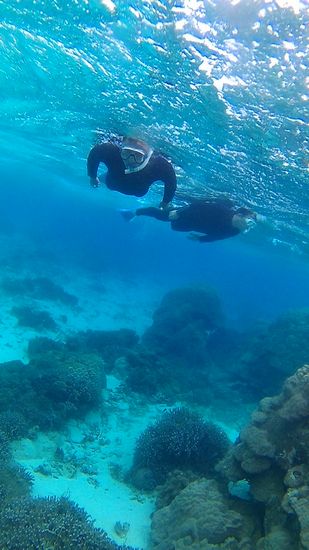 透明度の高い海を楽しんでいきます