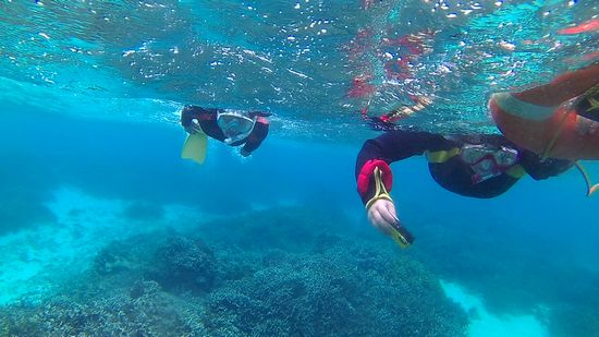 さぁコースを回っていきます。