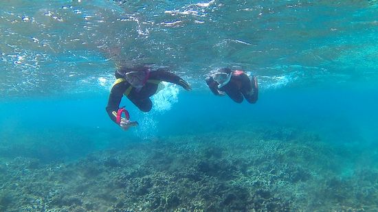 二本目が本番です