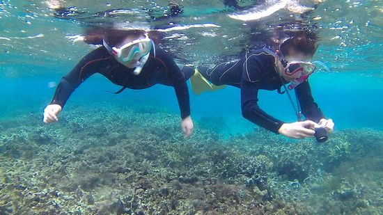 慣れてくれば楽しんでいます。