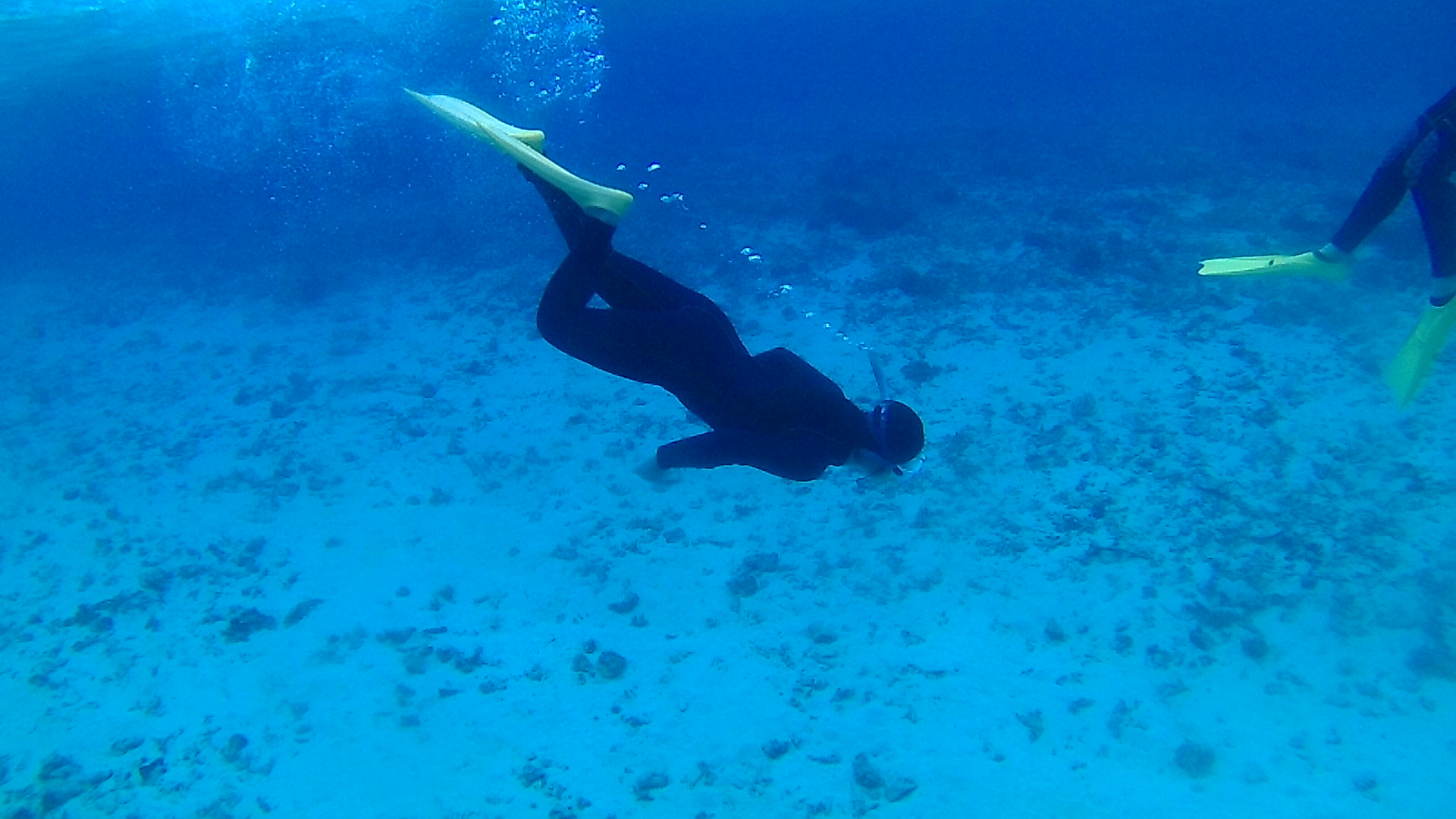 初めてのシュノーケリングでも素潜りのお姉さん