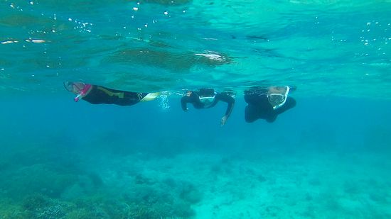 さぁ順調な滑り出しです