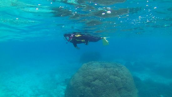 お母さん、マイペースに楽しんでいます。