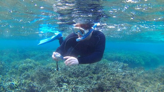 水中カメラで撮影を楽しむ旦那さん