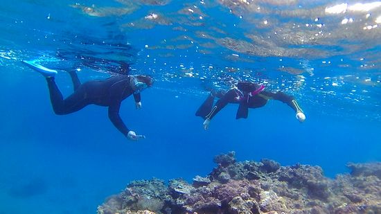 深場の青を楽しんでいます。
