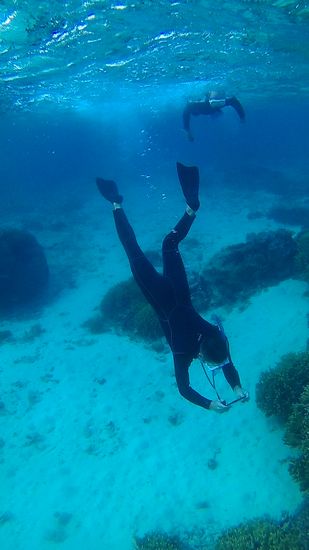 素潜りドボンのI藤さんです