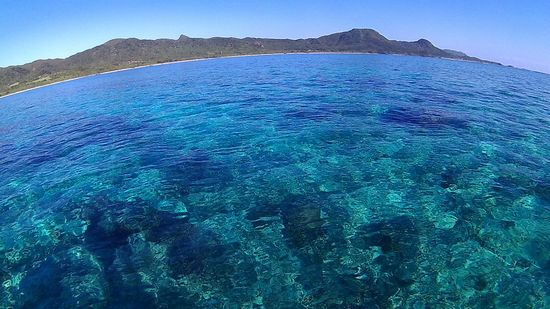 シュノーケル日和、穏やかな海です