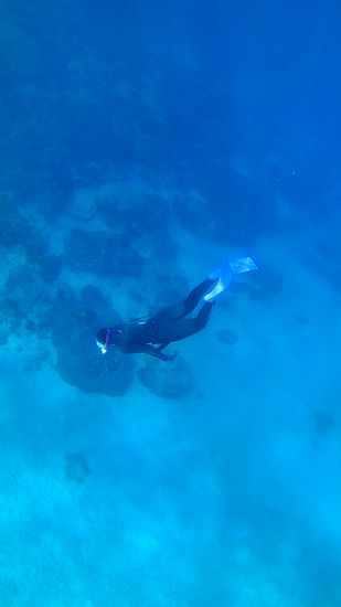 奥さんも潜っています