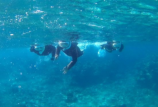 さぁシュノーケルポイントを回っていきます。