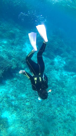 水中世界にドボンのヒナちゃんです