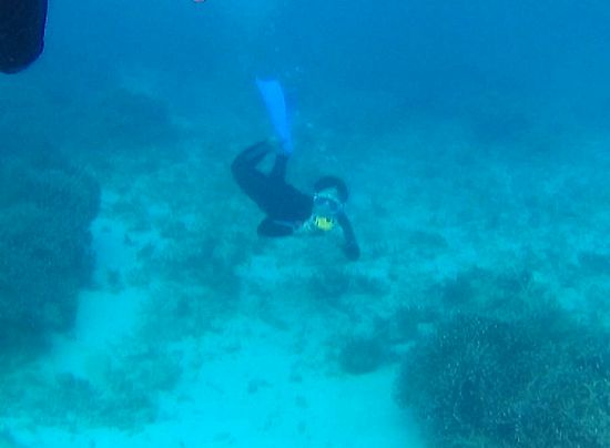 素潜りドボンで水中撮影のお父さん
