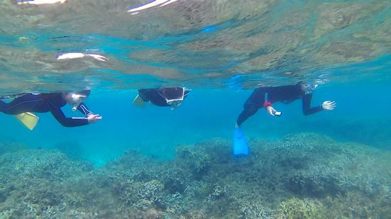 入水チェックは足早に完了です