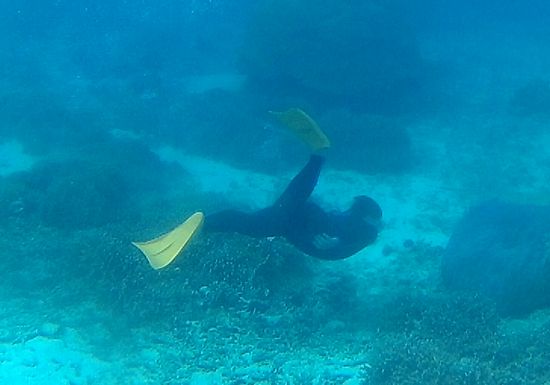 ガンガン潜るお父さんです。