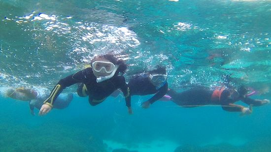 慣れた方から独り立ち