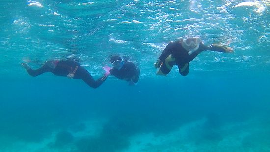 フリータイムを楽しんでいます。