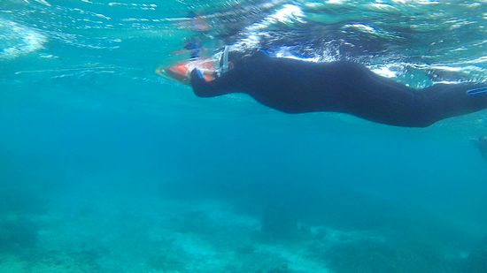 お父さんは浮かん派です