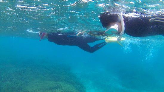 リピーターO塚さんご家族です