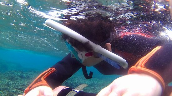 おばあちゃんもお魚さん観察