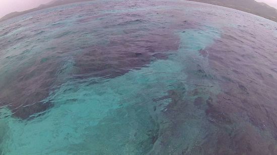 穏やかな海ですが・・・