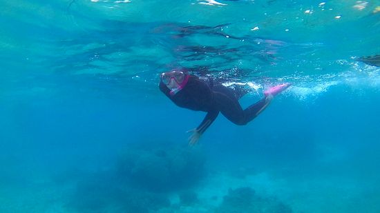 お姉さんはすぐに独り立ちです