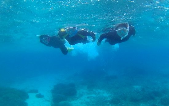 コンビネーションは完璧な皆さん