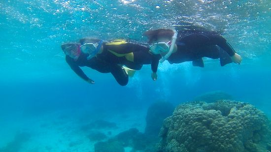 早速コースを回っていきましょう