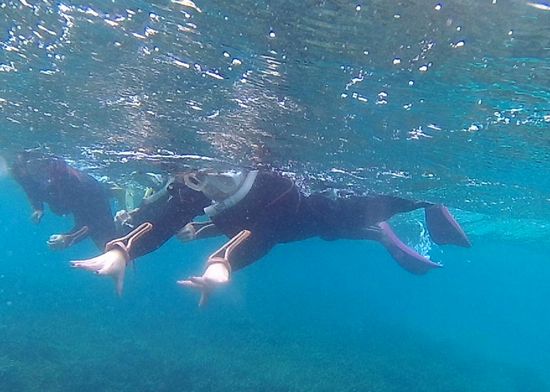 クマノミに手を振るS木さん