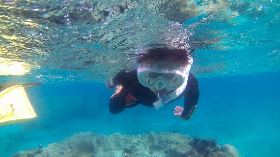 ユウタ君も絶好調です