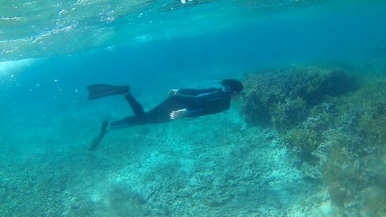 カイト君、水中を突き進んでいますね