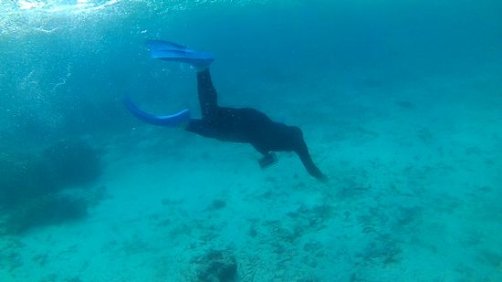 お父さんも負けていません