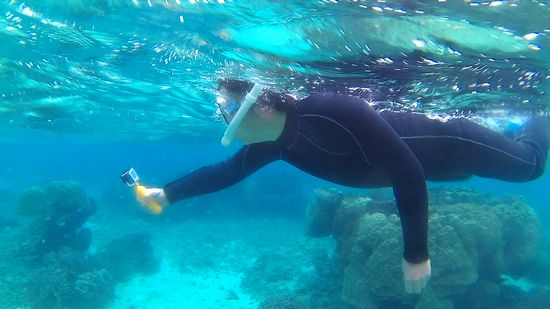 慣れてくれば、余裕の撮影です